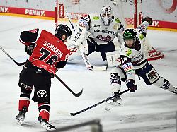 Berlin & Brandenburg: Ausgleich in der Serie: Eisbären verlieren Krimi in Köln