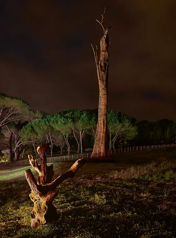 641_AI_WEIWEI_FP_01442