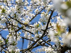 Bayern: Frühlingshafter Start ins Wochenende