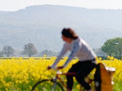 Baden-Württemberg: Frühsommerlicher Start ins Wochenende - doch bleibt es so?