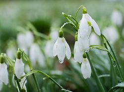 Nordrhein-Westfalen: Wolken und Regen zum Ende der Woche - vereinzelt Gewitter