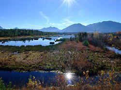 Bund investiert 1,75 Milliarden: Moorfläche in Deutschland soll verdoppelt werden