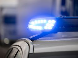 Baden-Württemberg: Seniorin ruft wegen "riesiger" Spinne die Polizei