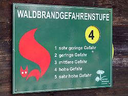 Berlin & Brandenburg: Lagerfeuer tabu: Hohe Waldbrandgefahr in fünf Landkreisen