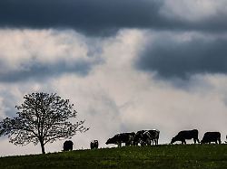 Nordrhein-Westfalen: Wolken, Regen und Gewitter in NRW - auch Abkühlung