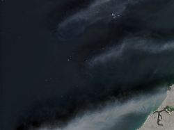 Hormus-Chaos vor Fristende: Droht jetzt die nächste Eskalation im Konflikt mit dem Iran?