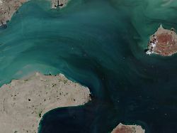 Straße von Hormus wieder zu: Iranische Boote schießen laut britischer Behörde auf Tanker