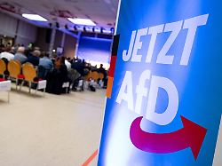 Berlin & Brandenburg: Angriff auf AfD-Infostand in Köpenick
