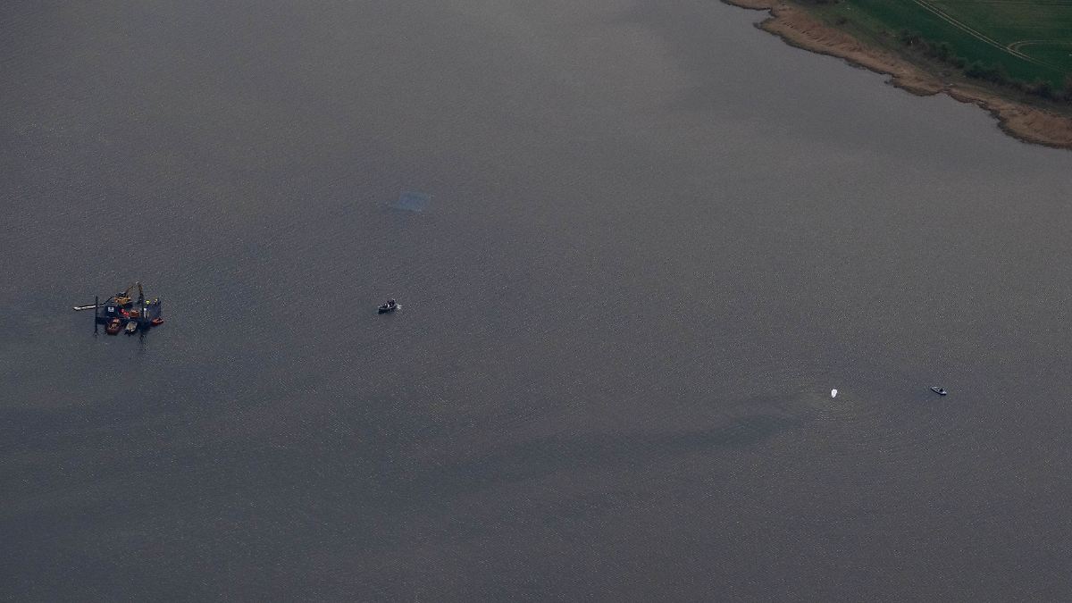 "Wir wären gerne schneller": Privatinitiative hält an Rettungsversuch für Buckelwal fest