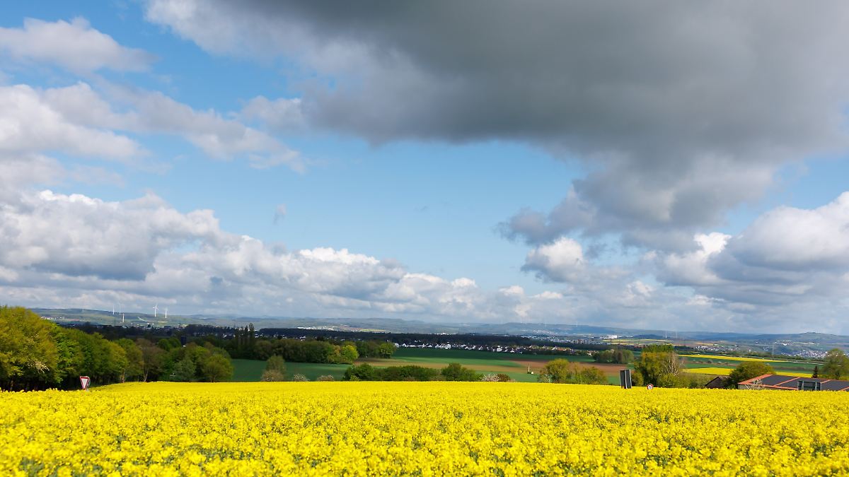 Wetterwoche im Schnellcheck: Frühlingswetter macht nur kurz Pause