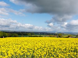 Wetterwoche im Schnellcheck: Frühlingswetter macht nur kurz Pause