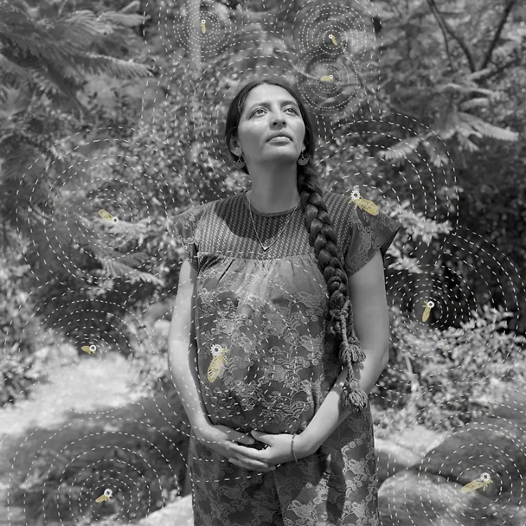 Part-of-Birha-Series-2024