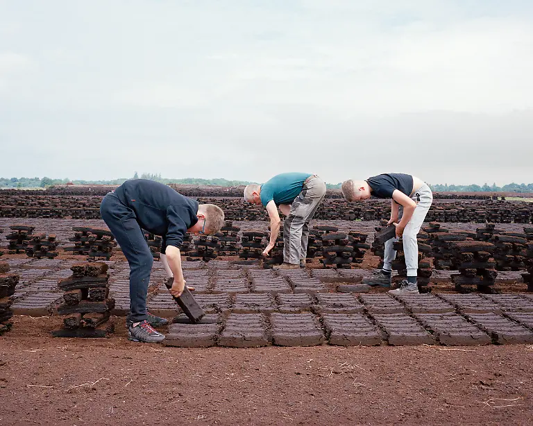 3895_10485_ShaneHynan_Ireland_Professional_Environment_2026