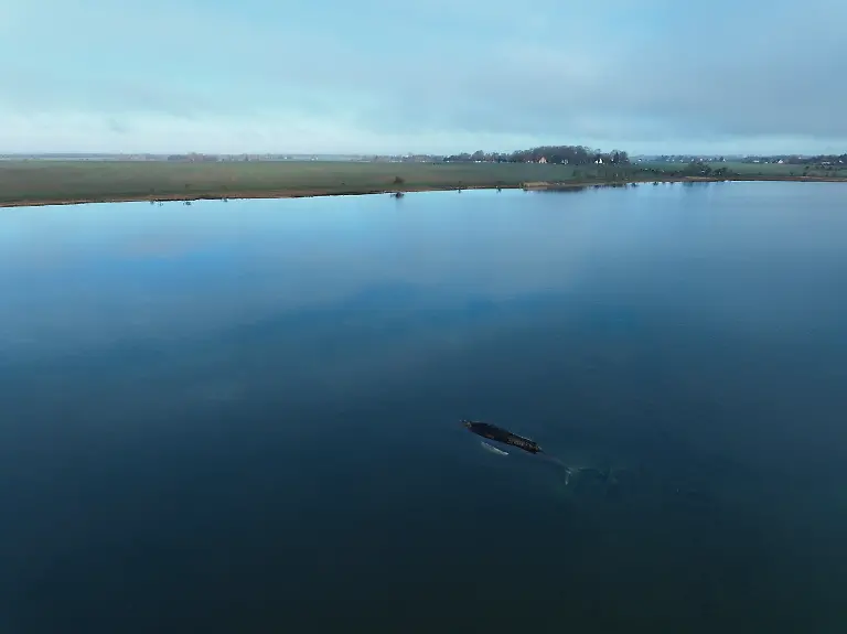 Drone-images-show-the-humpback-whale-stranded-close-to-the-Island-Poel-in-the-Baltic-Sea-Greenpeace-is-on-the-ground-and-supporting-the-ongoing-efforts-Die-Aufnahmen-zeigen-den-gestrandeten-Buckelwal-vor-der-Insel-Poel-in-der-Ostsee-Greenpeace-ist-vor-Ort-und-unterstuetzt-die-laufenden-Massnahmen