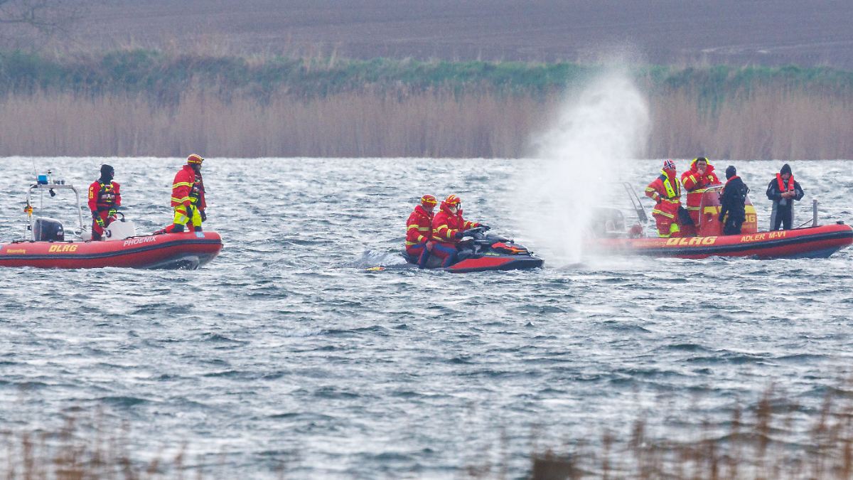 Tier soll Sender erhalten: Wal legt nach überraschender Schwimmaktion wieder Pause ein