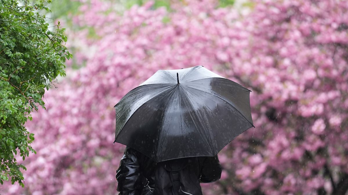 Deutschland zittert im April: Sind das schon die Eisheiligen?