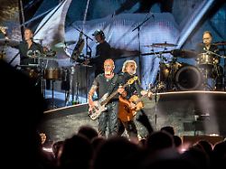 Danke, Santiano!: Einen Shanty auf den Wal-Wahnsinn