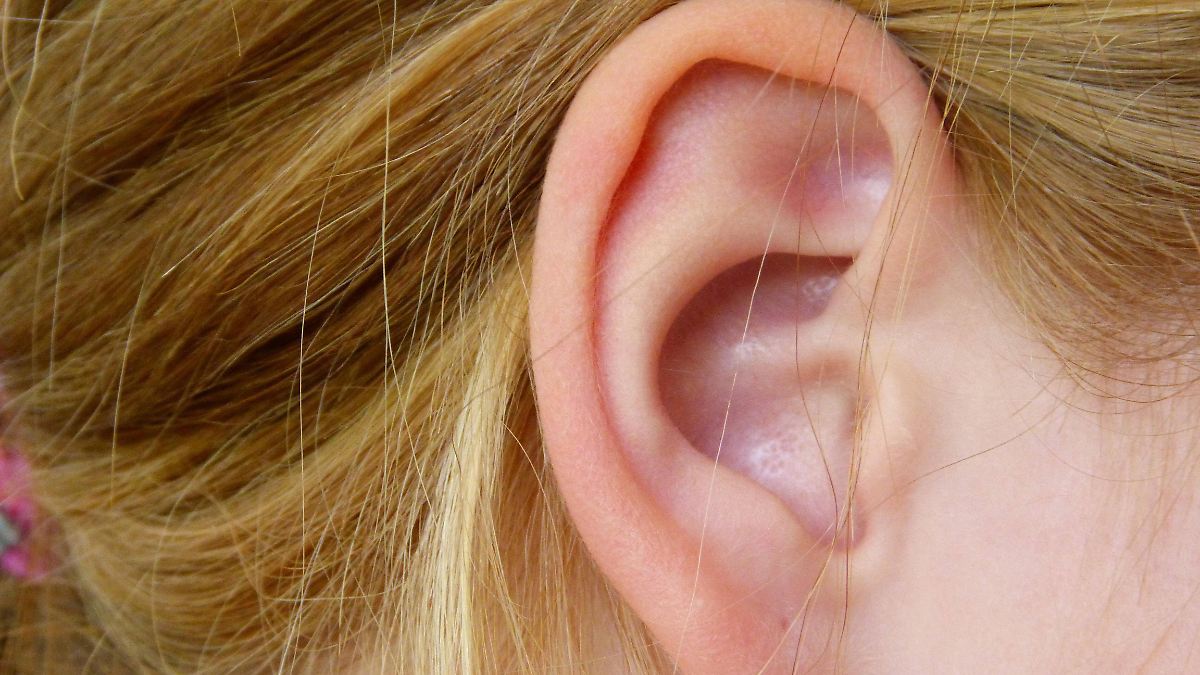 Permanentes Pfeifen im Ohr: Forscher entdecken mögliche Ursache für Tinnitus
