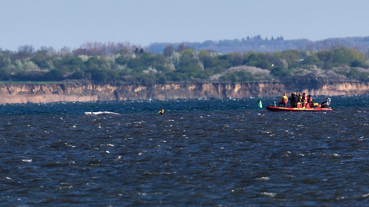 "An Schlaf nicht zu denken": Minister Backhaus will die Nacht beim Wal verbringen 
