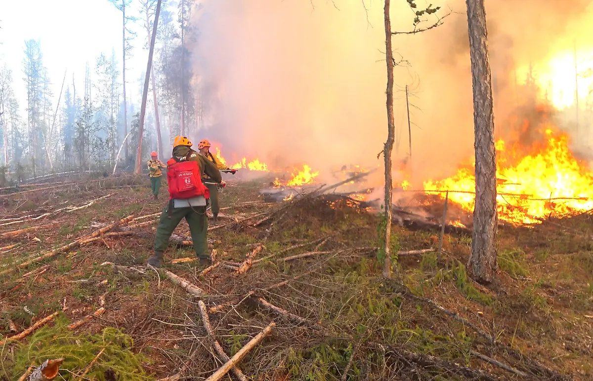 c5a005d7eccc4a974d53924d5afb8440