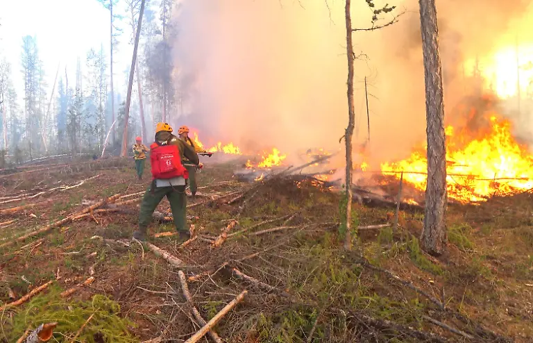 c5a005d7eccc4a974d53924d5afb8440