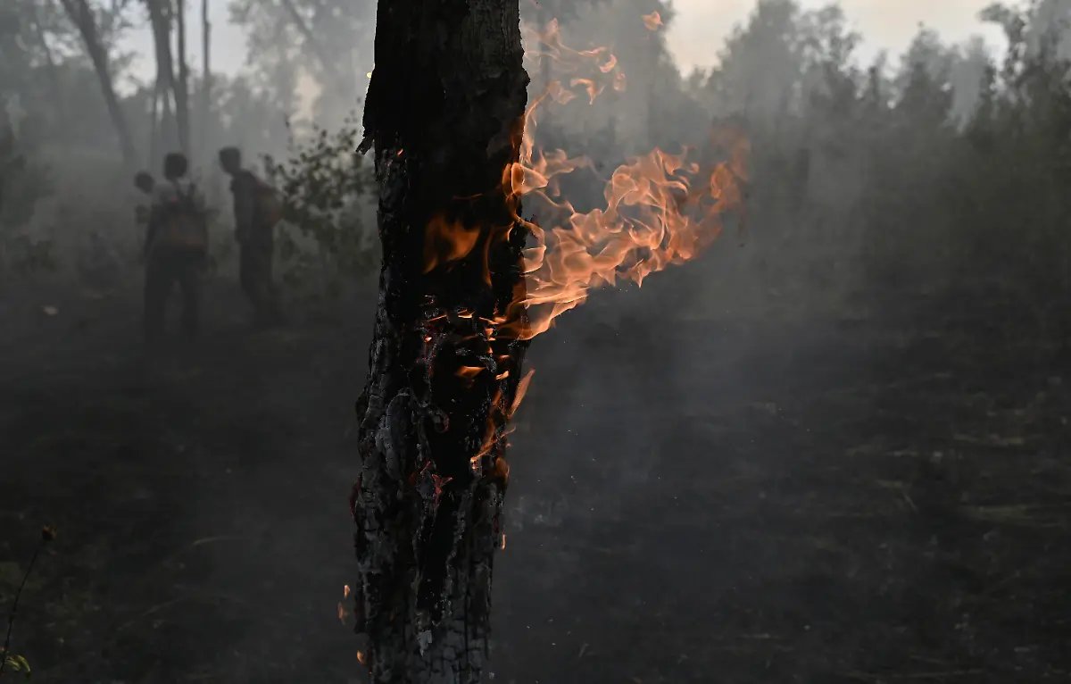 2020-08-11T193921Z-450601482-RC2VBI9SBS1V-RTRMADP-3-RUSSIA-FIRES-SIBERIA