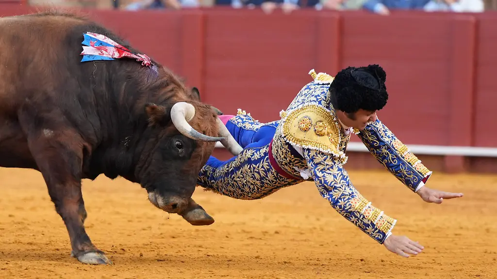Corrida-del-20-de-abril-en-la-Mestranza-Cogida-de-Morante-de-la-Puebla-en-la-decima-corrida-de-la-Feria-de-Sevilla-A-20-de-abril-del-2026-en-Sevilla-Andalucia-Espana-Decima-corrida-con-toros-de-Hermanos-Garcia-Jimenez-para-los-diestros-Morante-de-la-Puebla-Borja-Jimenez-y-Tomas-Rufo-20-APRIL-2026-Joaqui-Sevilla-Andalucia-Spain-Sevilla-Andalucia-Spain-Spain-Spain-PUBLICATIONxNOTxINxESP-Copyright-xJoaquinxCorcherox-7455736