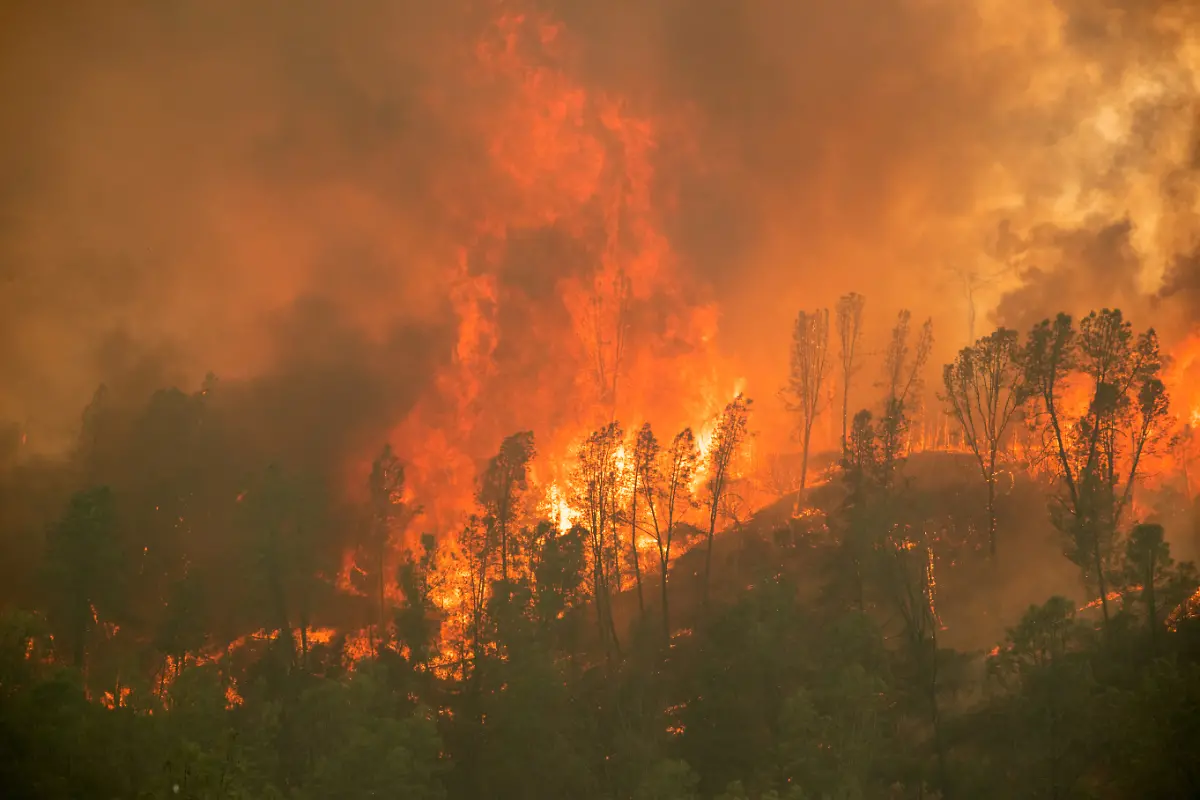 2020-08-23T230451Z-1911709618-RC2ZJI96K1PY-RTRMADP-3-CALIFORNIA-WILDFIRE