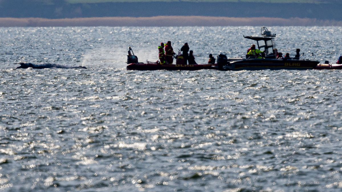 Drei Personen nicht mehr vor Ort: Team der privaten Walretter zerbricht