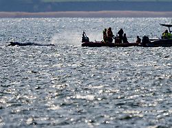 Drei Personen nicht mehr vor Ort: Team der privaten Walretter zerbricht