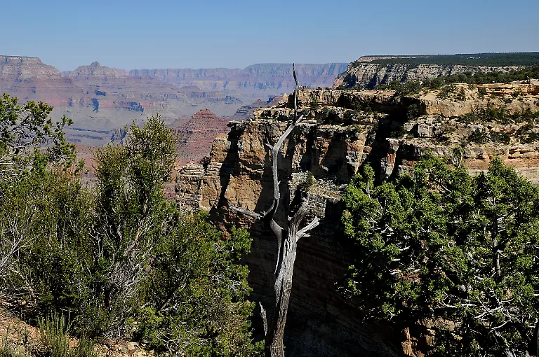 Grand-Canyon-national-park-Arizona-United-State-of-America-Grand-Canyon-Grand-canyon-nationak-park-Arizona-USA-09-September-2019-Vistor-at-Grand-Canyon-visitor-center-adn-Grand-Canyon-Grand-Park-trail-on-monday-9-september-2019-usa-date-beauty-of-Gran-Canyon-National-park-and-trail-of-Grand-Canyon-of-Arizona-USA-Photo