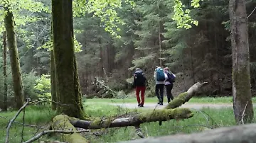 wandern
