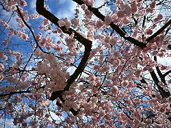 Hessen: Die Sonne dominiert in Hessen – nachts leichter Frost