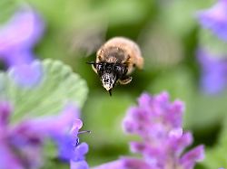 Baden-Württemberg: Sonne satt - und wann sich trotzdem eine Mütze lohnt