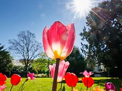 Nordrhein-Westfalen: Sonniges Wetter in NRW - 20 Grad am Mittwoch erwartet