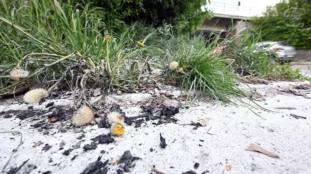 Auch-einige-Tage-nach-dem-Vorfall-sind-die-Spuren-noch-zu-sehen