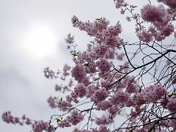 Berlin & Brandenburg: Nebel und Sonne in Berlin und Brandenburg