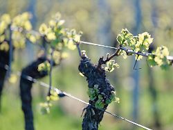 Baden-Württemberg: Hier soll heute die 20-Grad-Marke geknackt werden