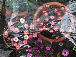 Bayern: Bis zu 21 Grad am Tag - nachts Bodenfrost möglich