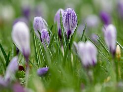 Niedersachsen & Bremen: Meist trocken und zeitweise sonnig im Niedersachsen