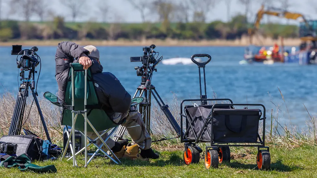 Medienvertreter-beobachten-die-Arbeiten-der-Helfer-direkt-am-festliegenden-Buckelwal-vor-der-Insel-Poel-Der-vor-drei-Wochen-bei-Wismar-gestrandete-Buckelwal-liegt-weiterhin-auf-einer-Sandbank-fest-Eine-privaten-Initiative-versucht-seit-Tagen-den-Wal-zu-retten