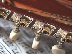 Detail Der Mandolinentasten Die Sich Auf Eine Verschwundene Detail The Mandolin Keys The Itself At A Disappeared 1104300492