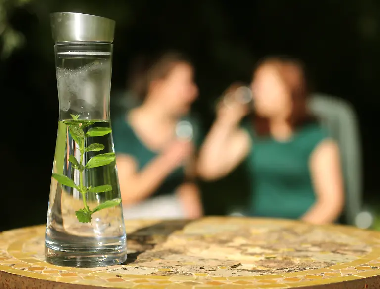 Stilles-Wasser-mit-einem-frischen-Minzezweig-trinken-am-05-07-2016-in-Muelheim-Nordrhein-Westfalen-Jule-l-und-Jessika-Wer-mag-kann-den-Geschmack-von-Wasser-mit-Minze-aufpeppen-Foto-Roland-Weihrauch-dpa-ACHTUNG-Dieses-Bild-hat-dpa-bereits-im-Bildfunk-gesendet