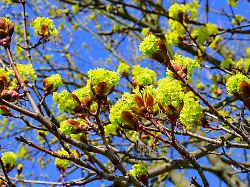 Bayern: Temperaturen bis 23 Grad - Sonne lockt Bayern ins Freie