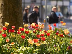 Rheinland-Pfalz & Saarland: Es bleibt sonnig und mild in Rheinland-Pfalz und im Saarland