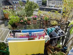 Miet- und WEG-Recht: Wäsche trocknen auf dem Balkon: Kann das verboten werden?