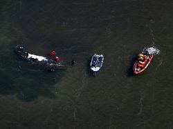 Neuer Plan in Vorbereitung: Geldgeber Gunz: Kritik an Walrettung "teilweise berechtigt"