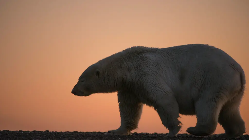 82084f633151b0da24310b6e7392938a