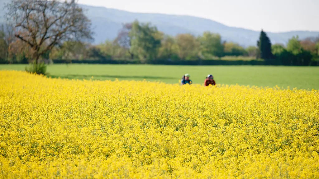 Laut-Vorhersagen-erreichen-die-Temperaturen-am-Samstag-bis-zu-23-Grad-im-Rheintal-koennen-es-auch-jenseits-25-Grad-werden