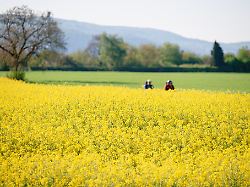 Baden-Württemberg: Sonniges Wochenende im Südwesten